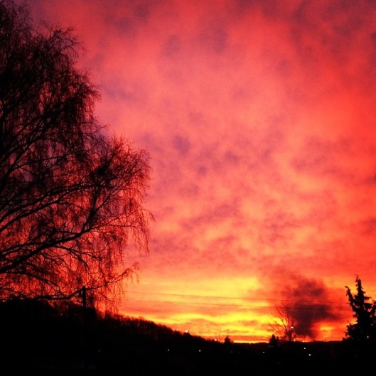 72acd6b658c511e3a52b12ea8db8b0b3_8