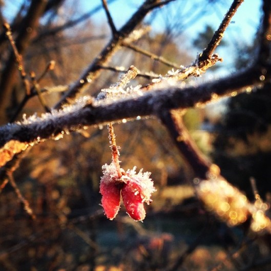 eba4a6ae55ad11e38cd40a44dca95da8_8