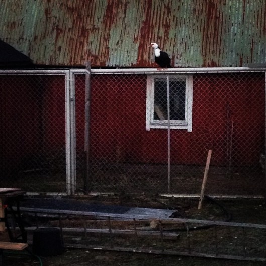 ee02fd2655e211e38de712156f482610_8