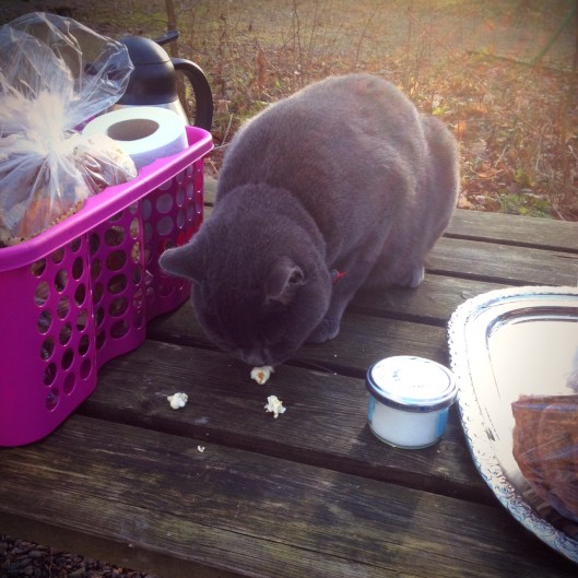 Made with Repix (http://repix.it)